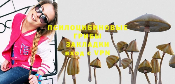 таблы Арсеньев