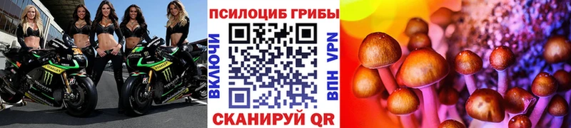 Псилоцибиновые грибы прущие грибы  Сосенский 